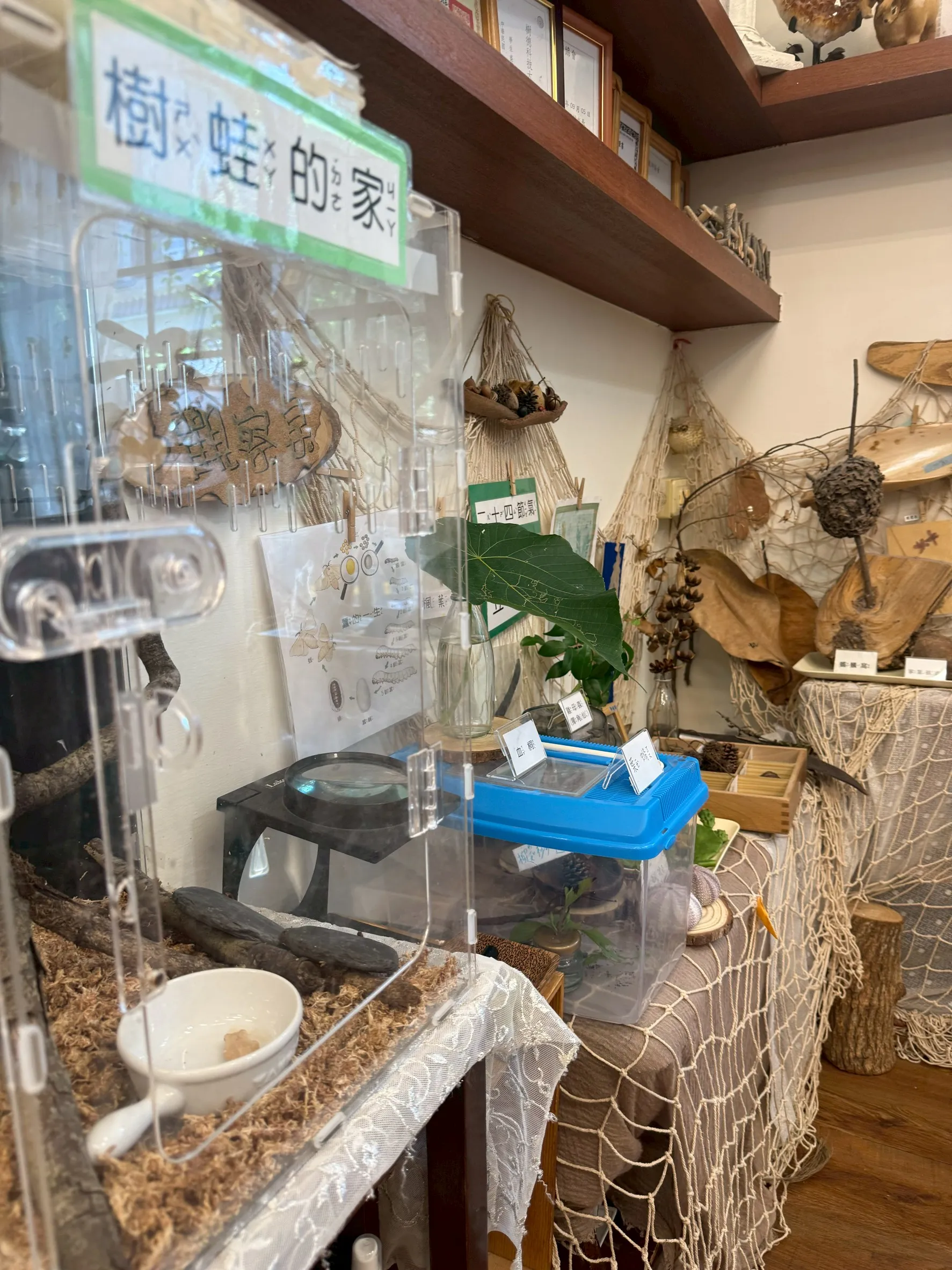 自然生態觀察角落